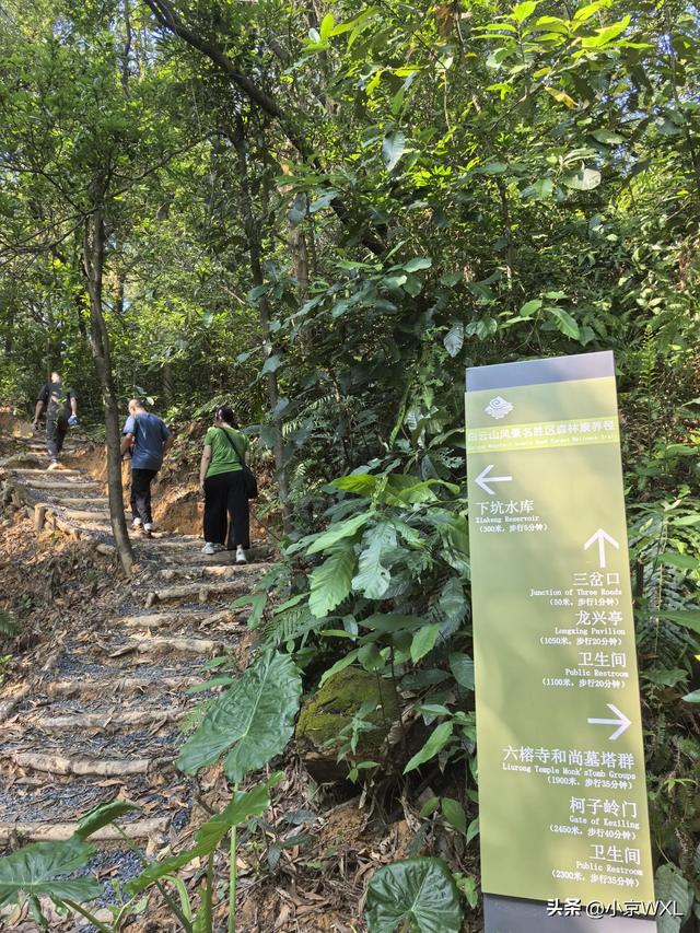 白云山首条森林康养径