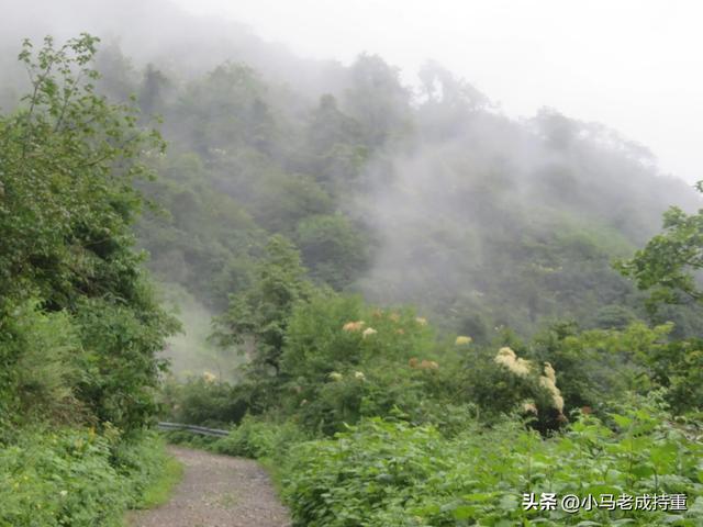 绵阳千佛山爬山笔记