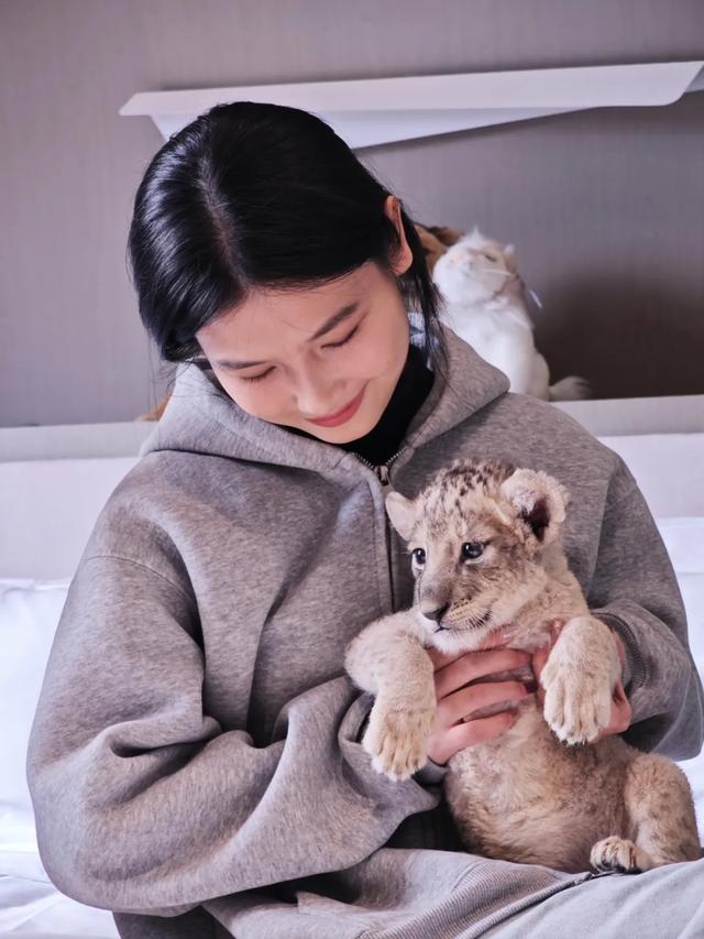 【萌狮叫醒服务】上线!快来给“最萌查房官”取个神仙名字吧!