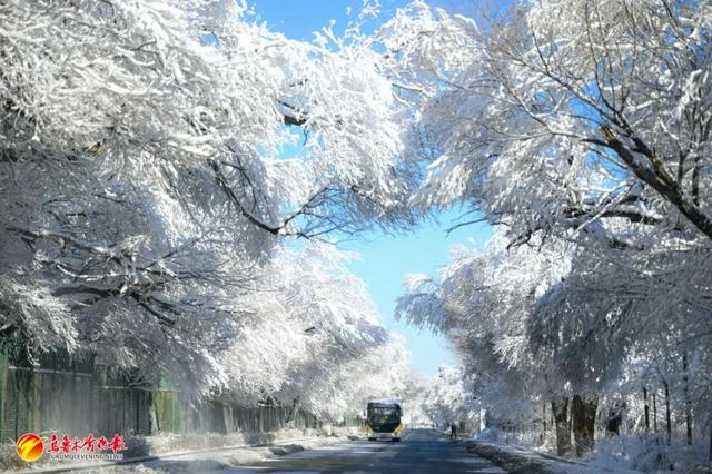 听我的，雪后的乌鲁木齐，真的能治愈一切！