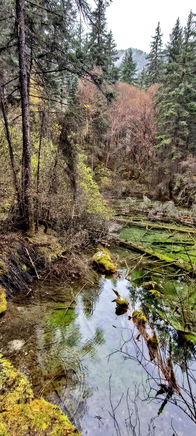 神仙池（一）竖幅