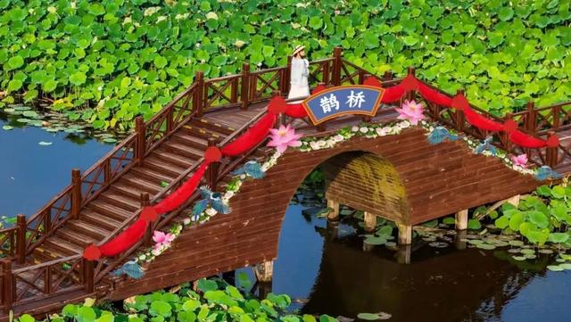荷塘月色湿地公园七夕限时免费开放！