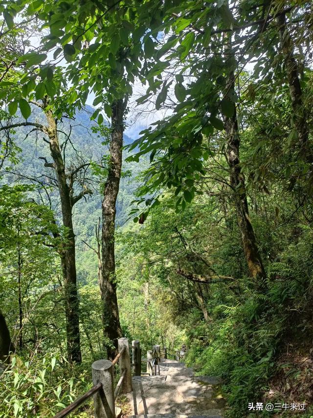 无为在歧路，贵州六日行（15）～梵净山