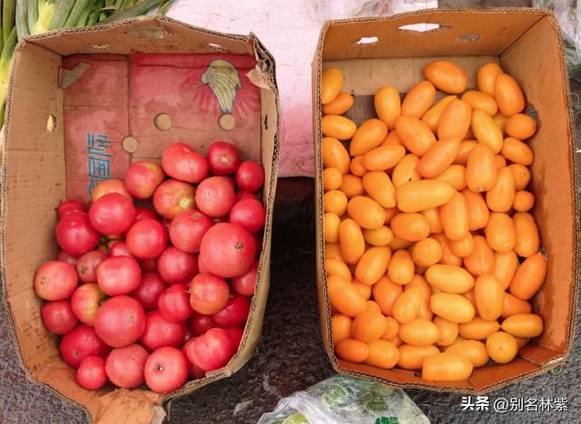 冒雨参观满洲里市博物馆和沙俄监狱陈列馆，铁道桥上看晚霞超美