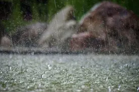太真实！10首写狂风暴雨的诗词，收藏起来慢慢品读图片