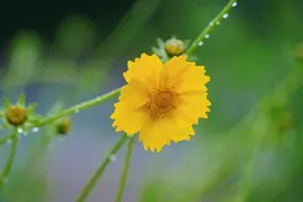 虽然不能在一起了，偷偷的给你留了一句话：图片