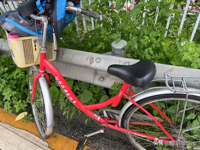 第一次骑行阳朔十里画廊