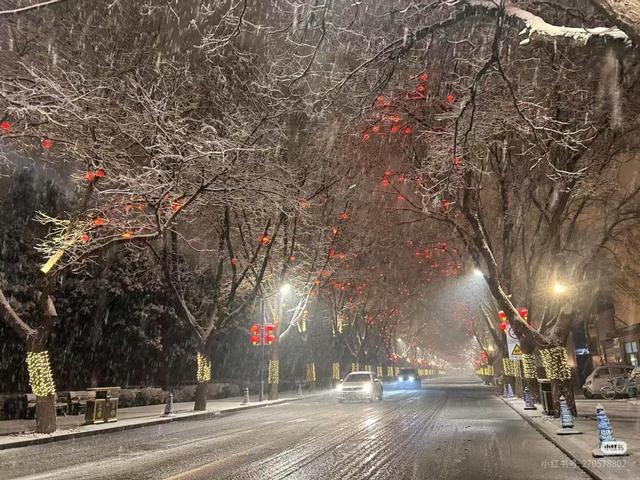 石家庄，三月大雪纷飞