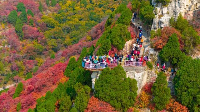 最新实拍！潍坊这里迎来“全红时刻”！