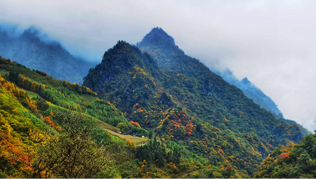 正式通车！全线免费！新挖赏秋天花板小城，绝美彩林不输九寨！地道美食50元吃爽！