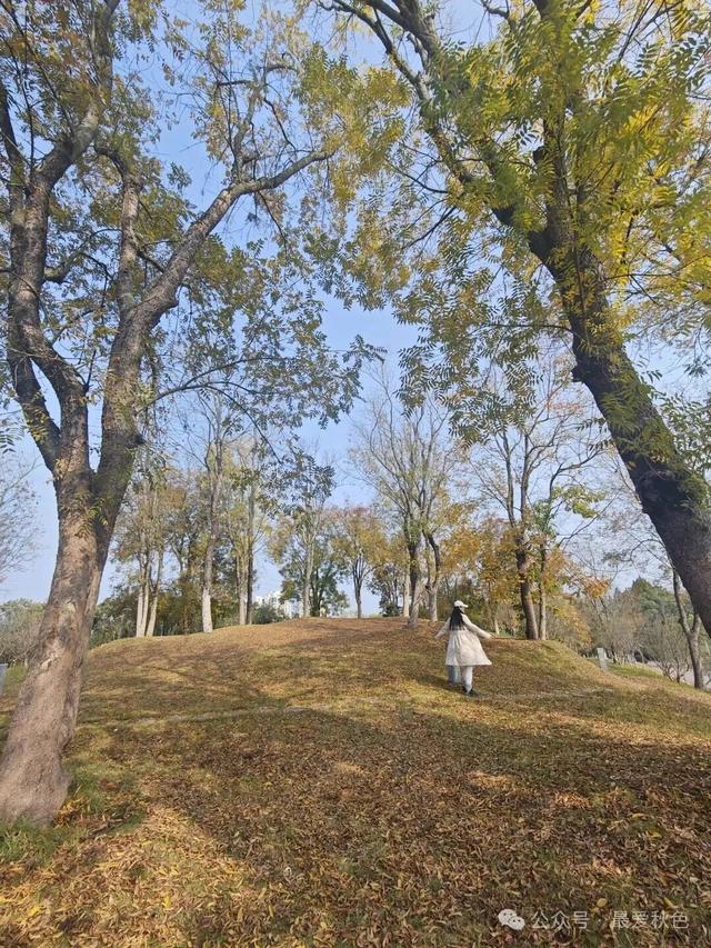 为了一碗羊肉汤，去了简阳