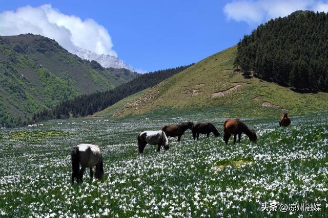 2026年来武威，这份时间表请收好！
