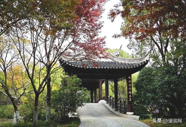 秋色“进度条”加载中，狼山森林公园赏秋点等你来打卡→