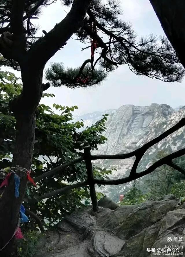 铁兵游记 | 蒙山,登东山而小鲁