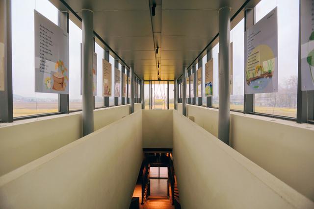 宿州有一座稻田图书馆，远离闹市，环境优美，成为了一处文化地标