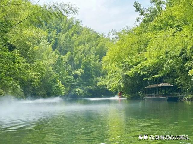告别36℃热浪！长沙“小荔波”藏着28℃清凉，带娃溯溪玩不停！