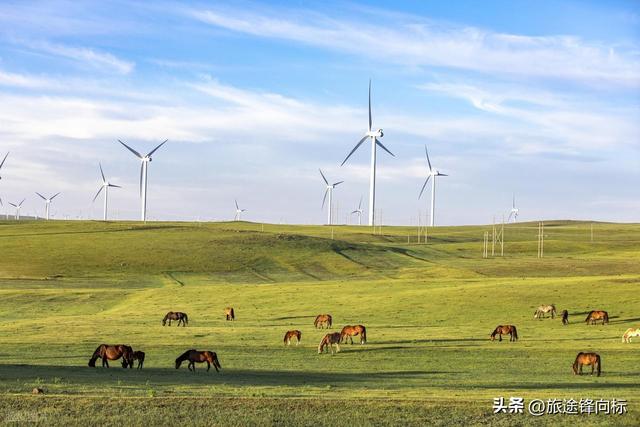 国庆去哪人少还能少花钱少遭罪呢？去内蒙古乌兰察布的辉腾锡勒？