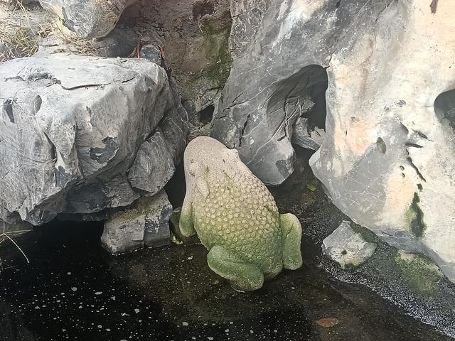 赴一场红色之约 寻迹灌河古桥的峥嵘岁月