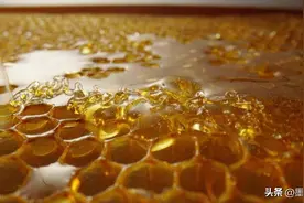 蜂蜜VS糖：甜蜜背后的健康陷阱，你中招了吗？图片