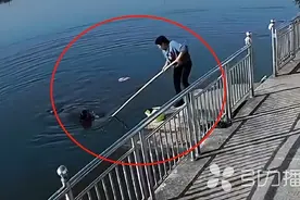 苏州阿姨飞奔出手搭救落水女邻居，已不是第一次救人图片