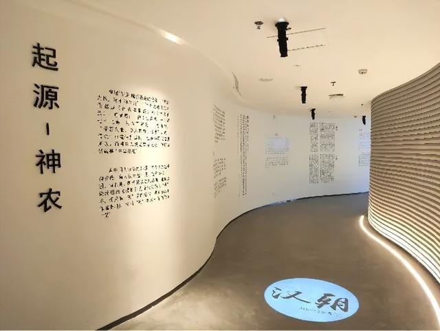 沉浸式感受韶关新丰绝美秋色！ 2天1夜赏枫露营品美食，徒步泡温泉，一起去躺平 ！