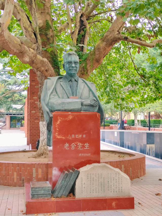 立秋之后，青岛人把养生藏在市南的四个公园里