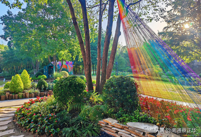 来了来了！南通秋天的仪式感