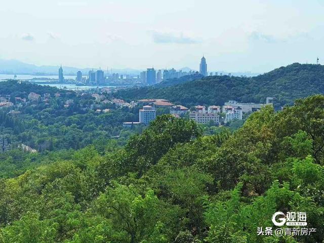网红打卡地+1！青岛这里有座“天空之城”