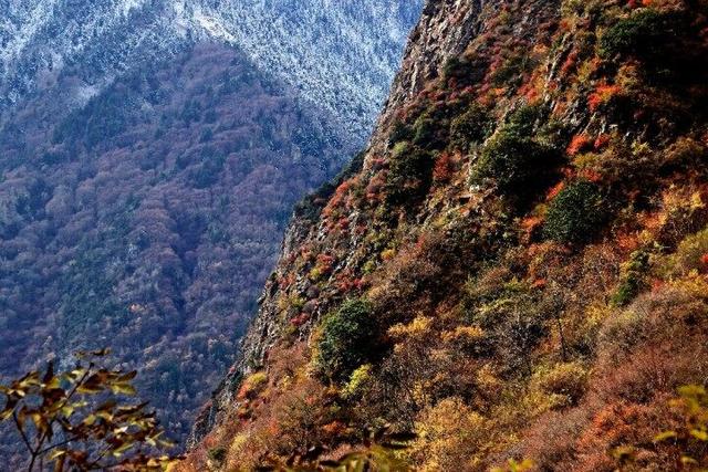 四川这个地方的初冬，是彩色的！