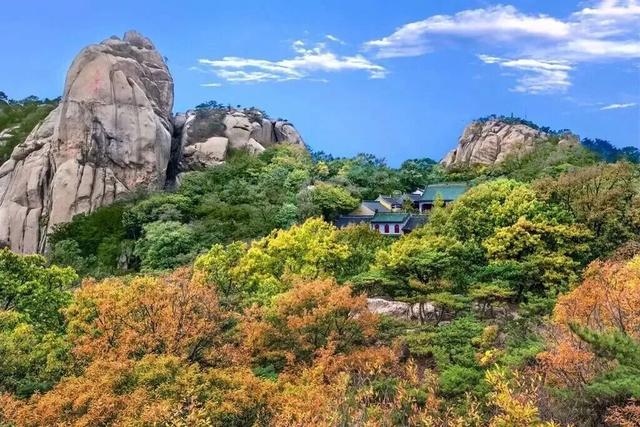 听说，山东的山最近变得「毛茸茸」？