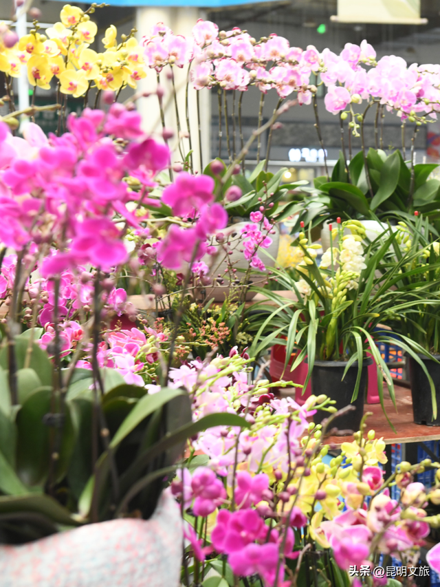 假期最后一天，留给斗南！好吗？把新年浪漫打包回家！