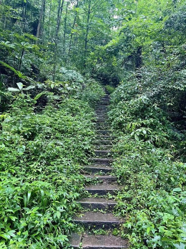 秘境新发现！比起青城山，我更爱它旁边0元的隐藏瀑布，超好玩！