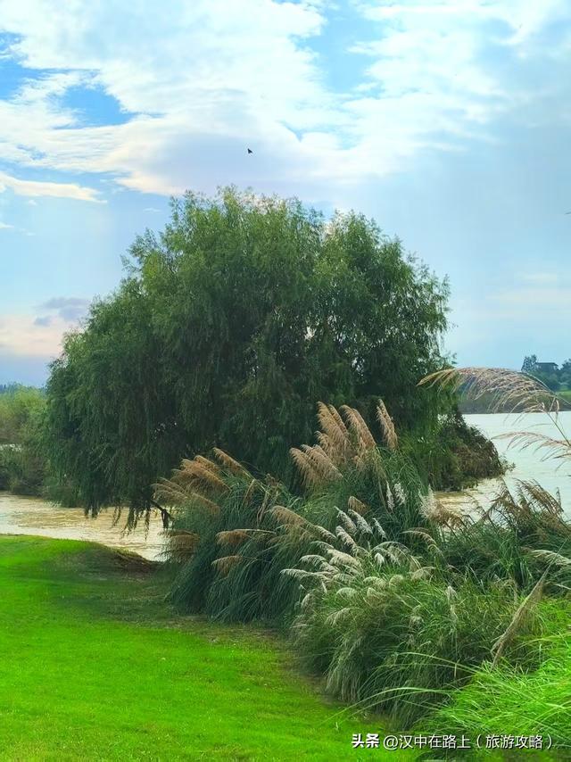 秋雨中的汉中湿地