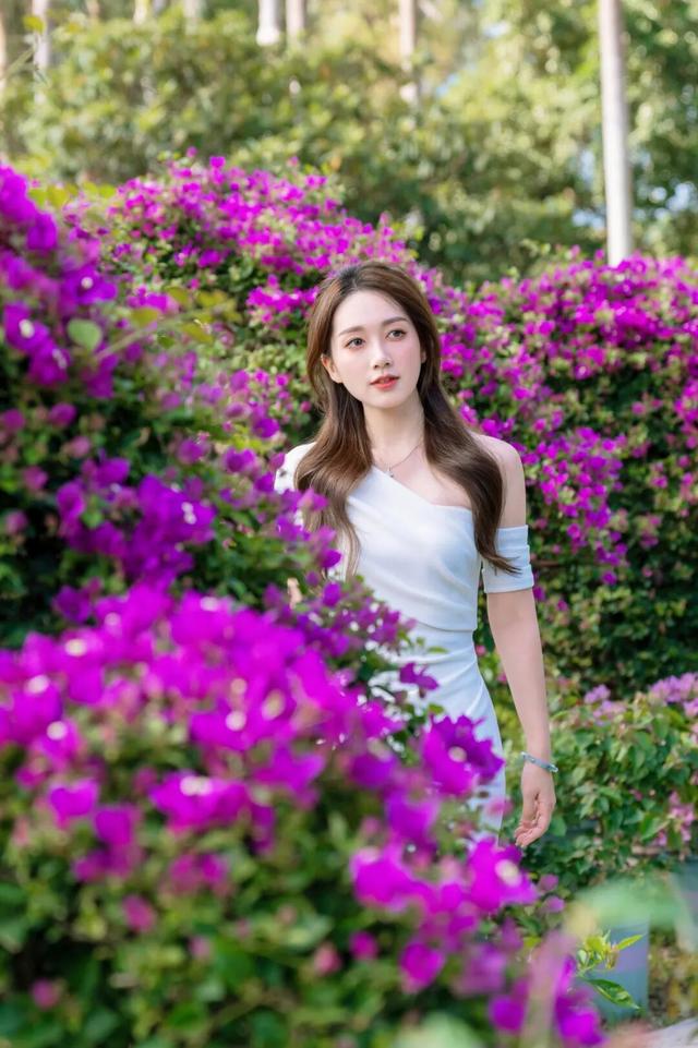 走！今天出发莲花山！拍“爆”20万㎡花海