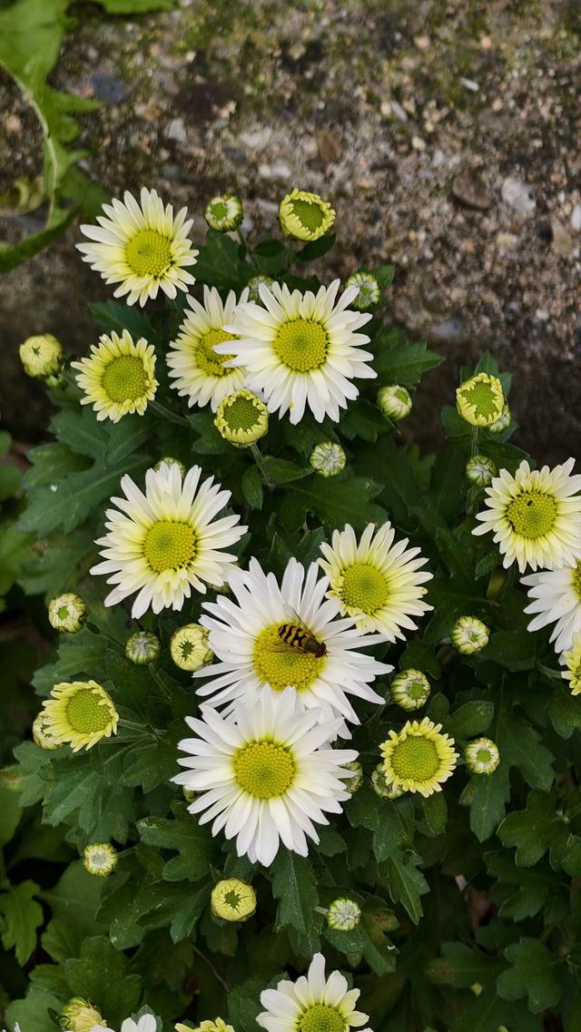 国家对8大扶持产业曝光，普通人不用靠大资本就能蹭上红利！