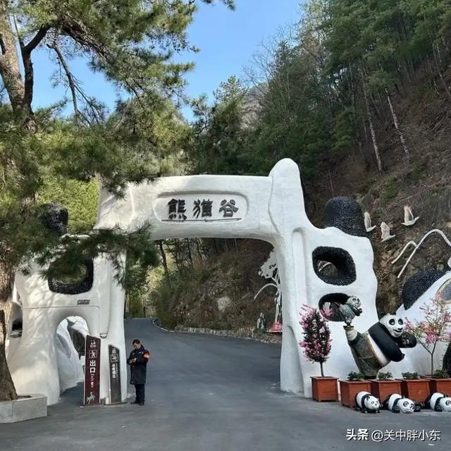 《逛吃陕西县域》佛坪：西安到佛坪一日游攻略，看熊猫品美食