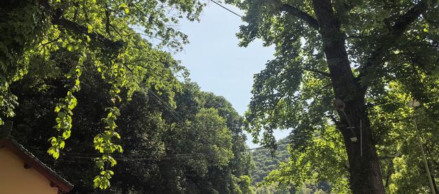 绍兴梅坞古道一条 对新手小白特别友好的线路