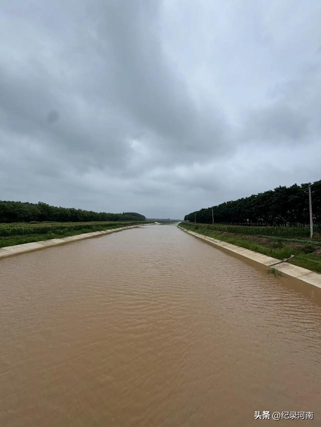 把民权县境域内黄河故道湿地公园也纳入到整体的托管运营体系中来