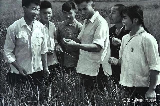 她从大队书记到中央候补委员，84年被开除党籍，退休后住进深山中