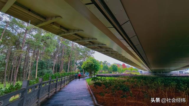 云端悬索跨峡谷！腾冲龙江特大桥，亚洲海拔第一的天路奇观