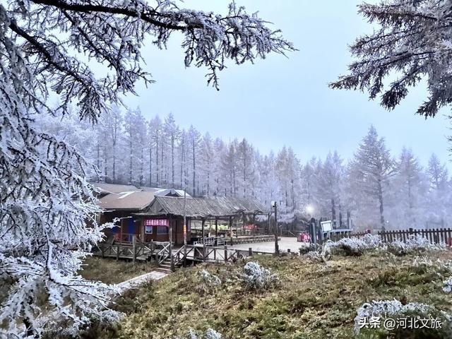 秋游河北悦山河 | 赏红叶、看雾凇，一山两景，在五岳寨感受大自然的神来之笔