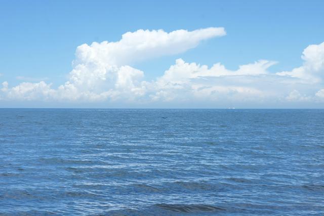夏日里的青海湖 :花正黄,水正清,天正蓝…