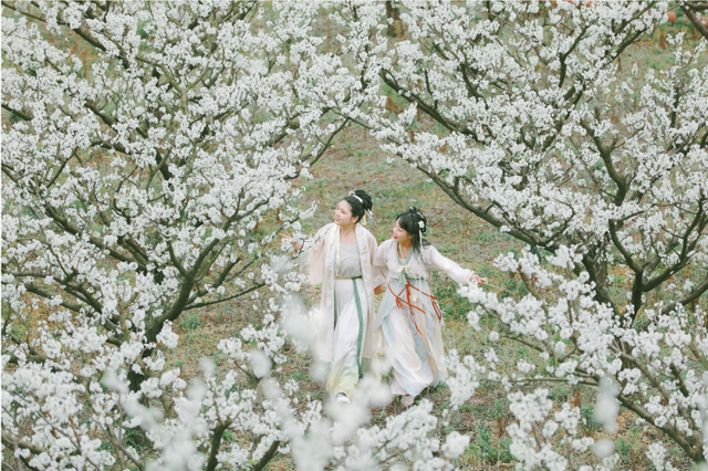 全部免费！成都春日赏花攻略来了，梨花、桃花、李花都开好了！