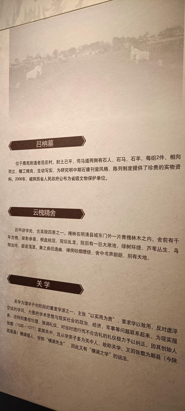 高陵昭慧塔文物展