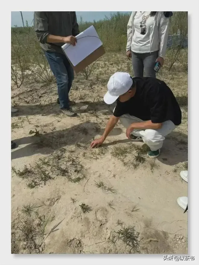 9年过去了，承诺每年在沙漠里种1亿棵树的马云，如今他做到了吗？