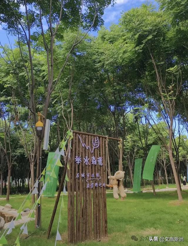 新洲宝藏营地上线!溯溪摸鱼×丛林穿越×星空烧烤,一站式撒野攻略→