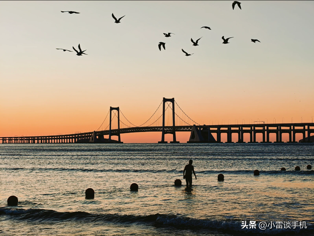 2025年双11期间拍照手机排行榜（2500-5000元）