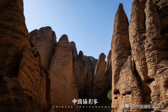 周修建｜黄河石林：时光雕刻地质神韵