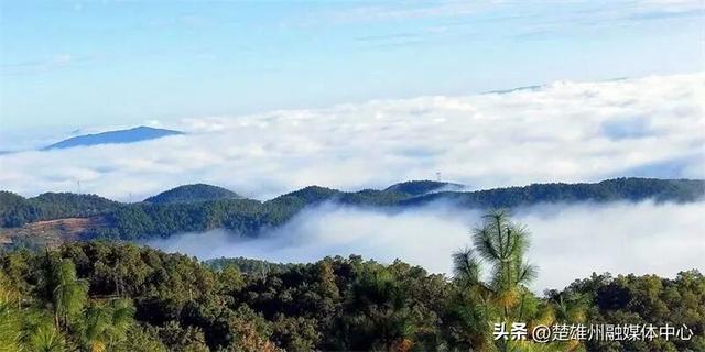 不限次入园！楚雄一景区门票年卡、优惠卡正在办理🤩