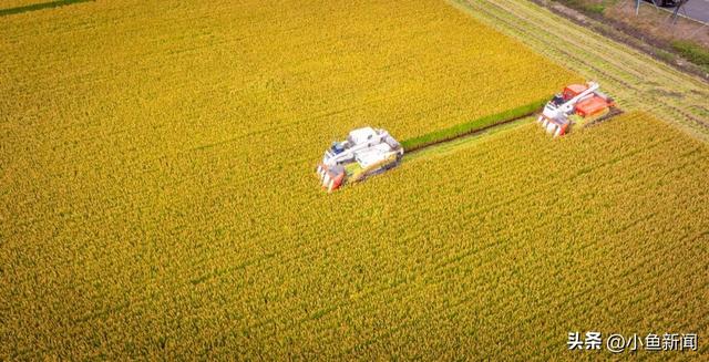美爆了！苏州秋日大片，上新了！